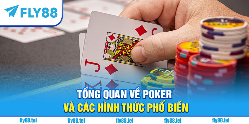 Cách Chơi Poker Trên Fly88: Hướng Dẫn Chi Tiết Và Kinh Nghiệm 7 Tổng quan về poker và các hình thức phổ biến